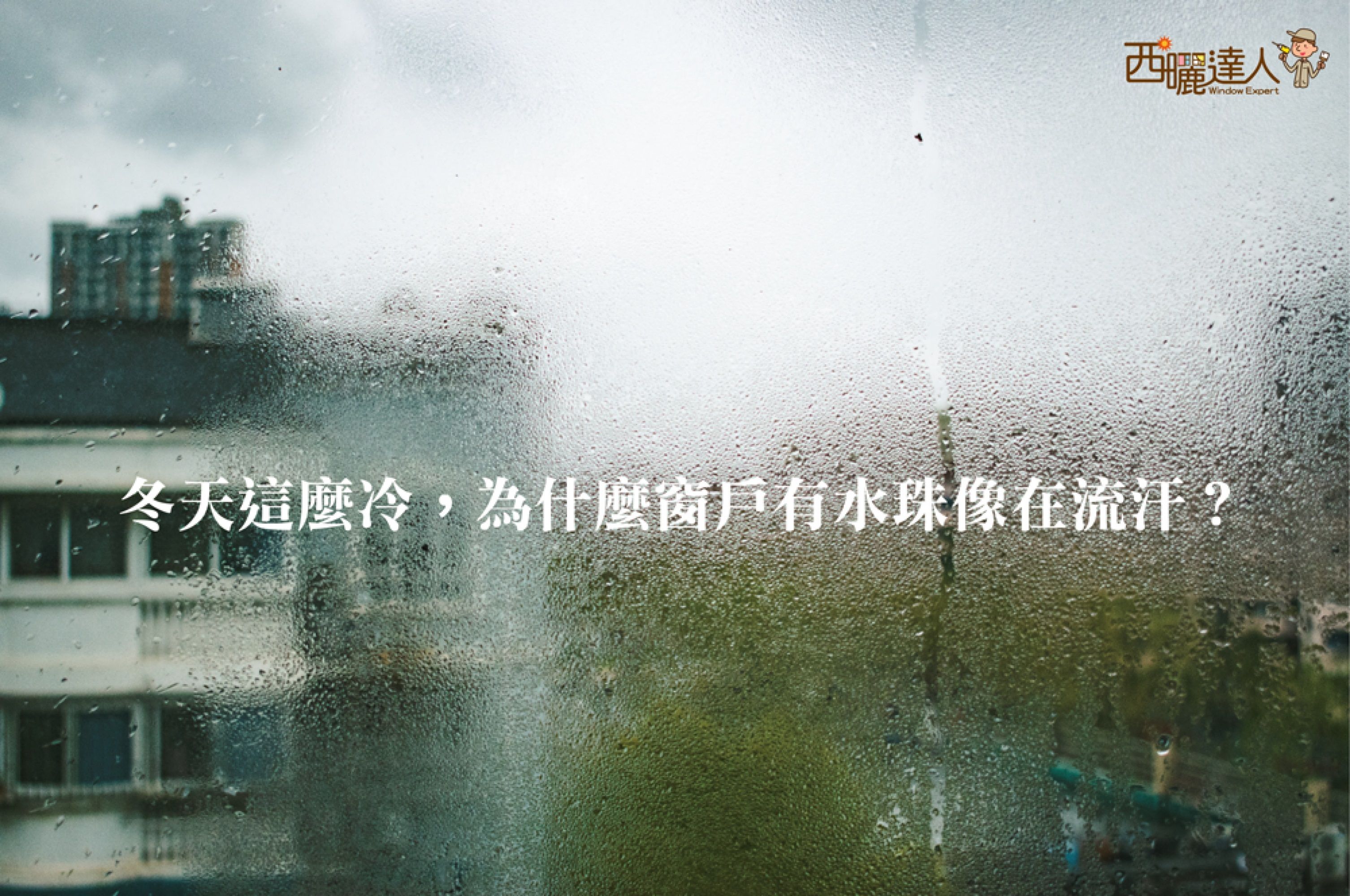 【冬天這麼冷，為什麼窗戶有水珠像在流汗？窗戶水氣、結露大公開】